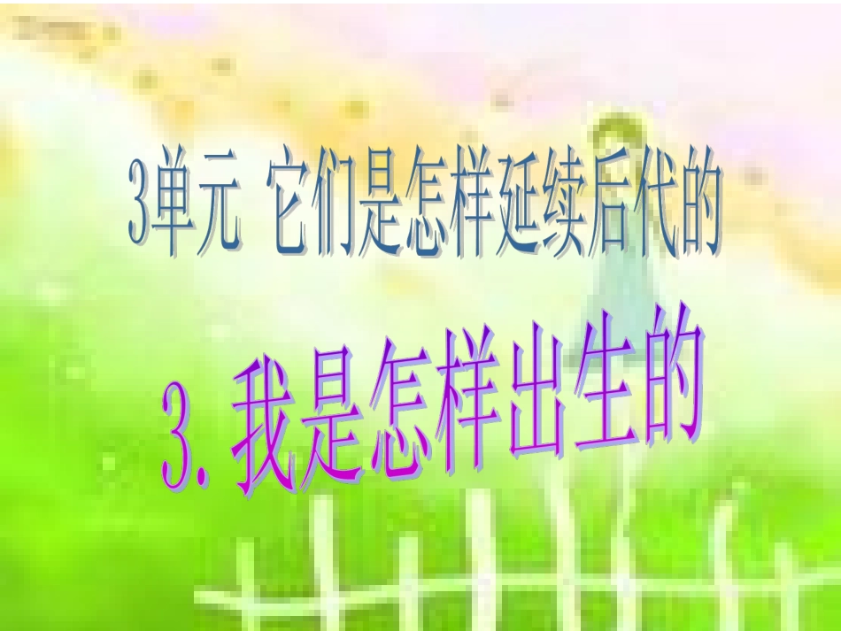 《3我是怎样出生的》课件1_第1页