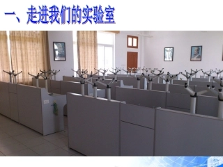 走进科学实验室 