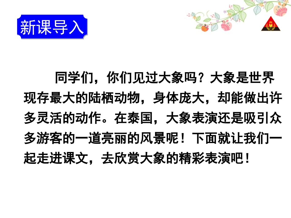 精彩的大象表演_第2页