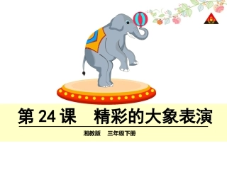 精彩的大象表演