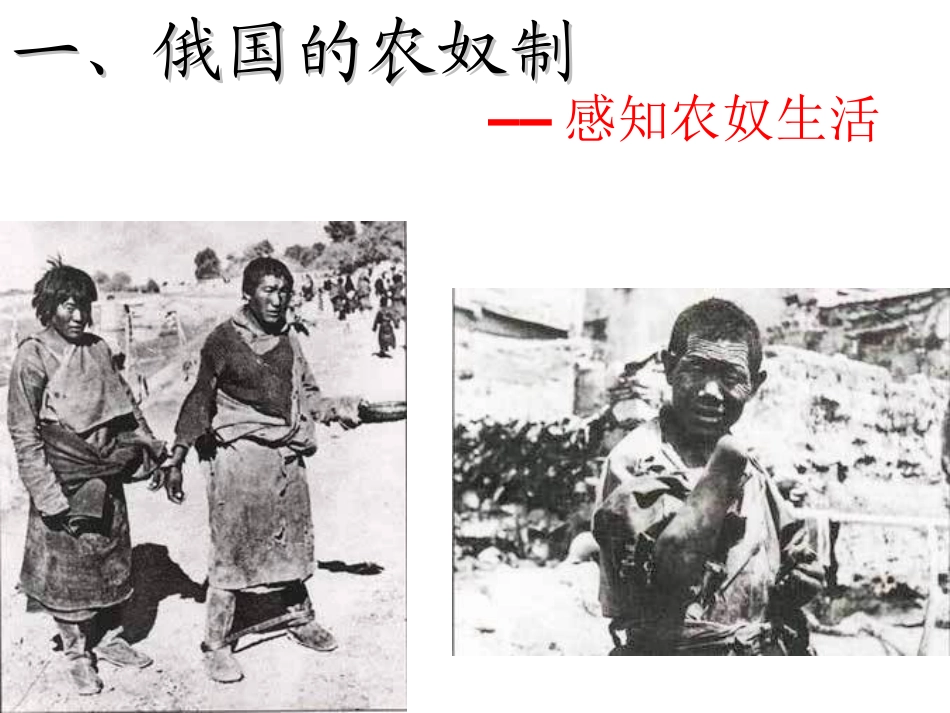 俄国农奴制改革PPT_第2页