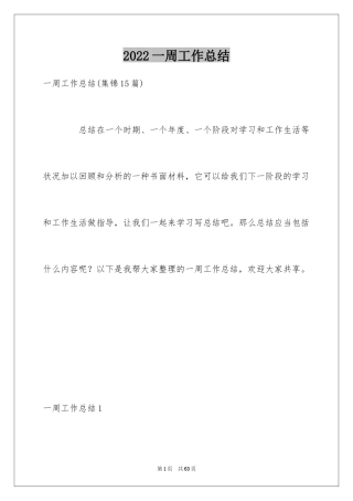 2024一周工作总结_11