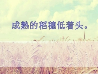 教师培训---责任,教育