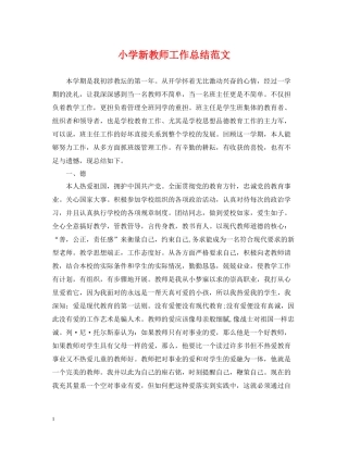 小学新教师工作总结范文2