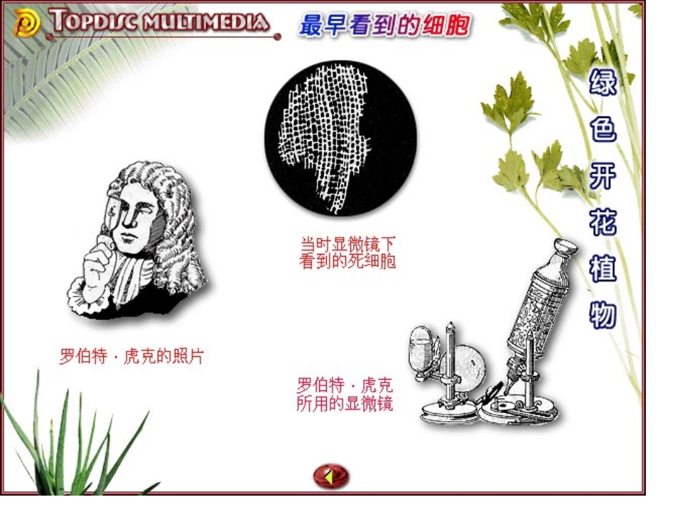 新浙教版科学七年级上2-2细胞_第3页