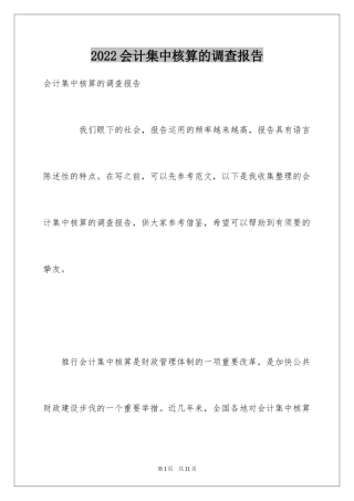 2024会计集中核算的调查报告