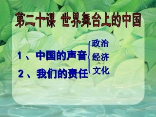 第二十课世界舞台上的中国1