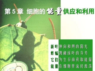 生物高中必修1第五章第一节课件1