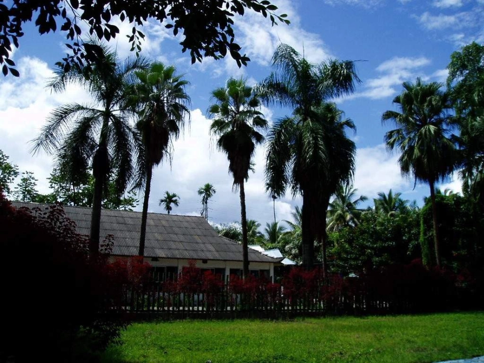 苏教版小学语文第四册欢乐的泼水节PPT课件_第3页