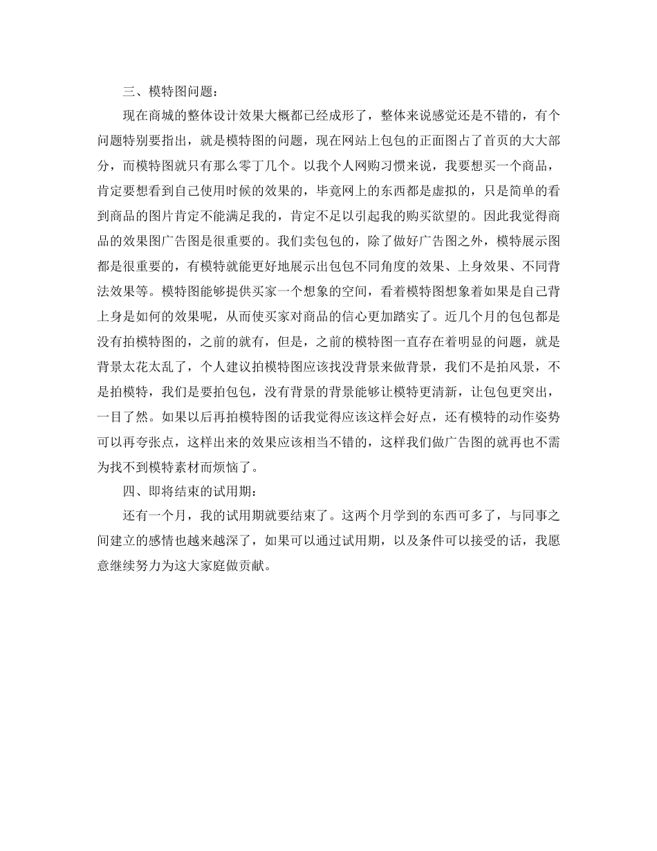 淘宝美工工作总结范文_第2页