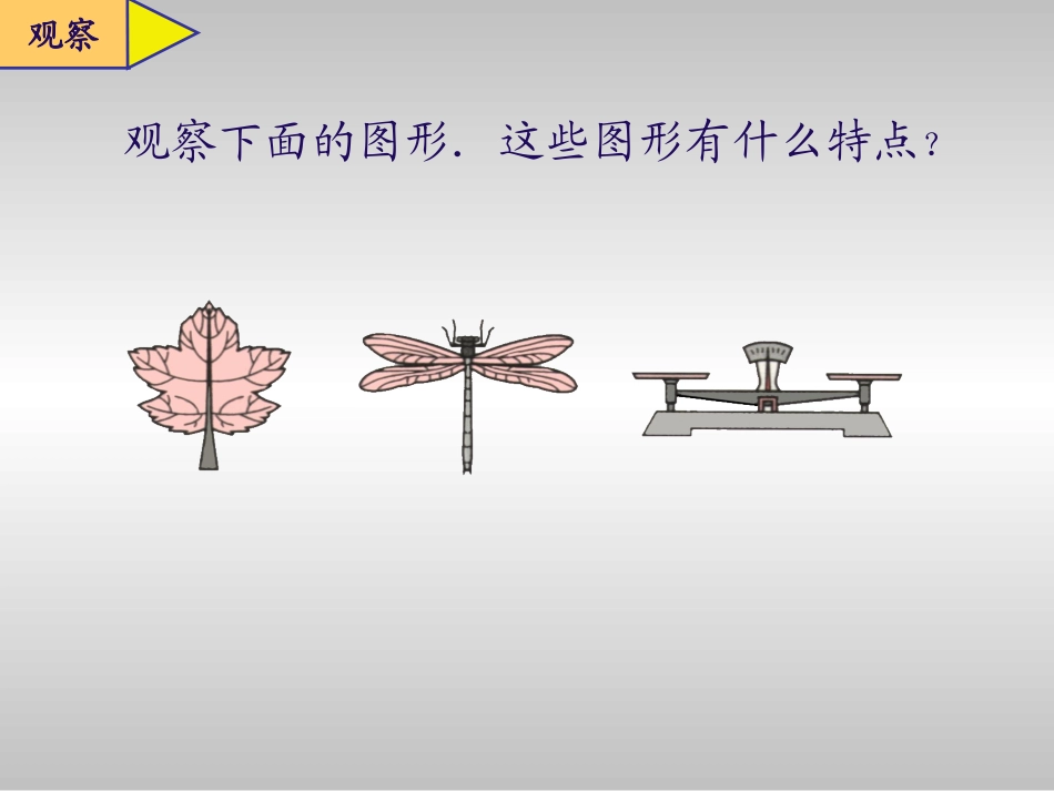 轴对称图形课件_第2页