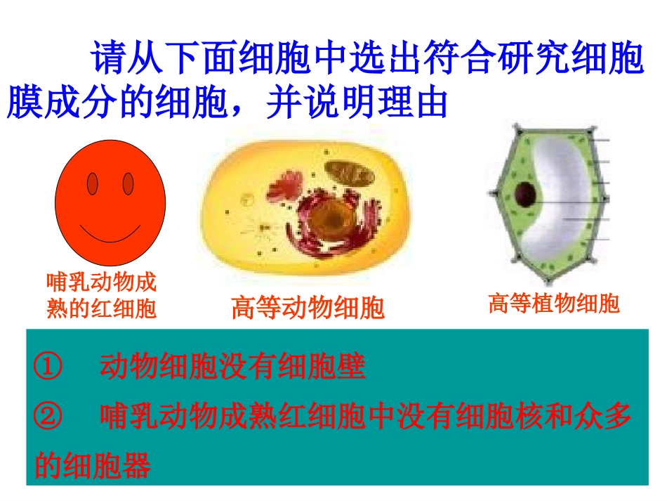 细胞膜系统的边界][1]PTT1_第3页