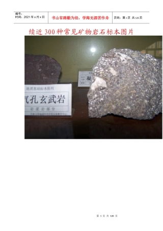 常见矿物岩石标本图片