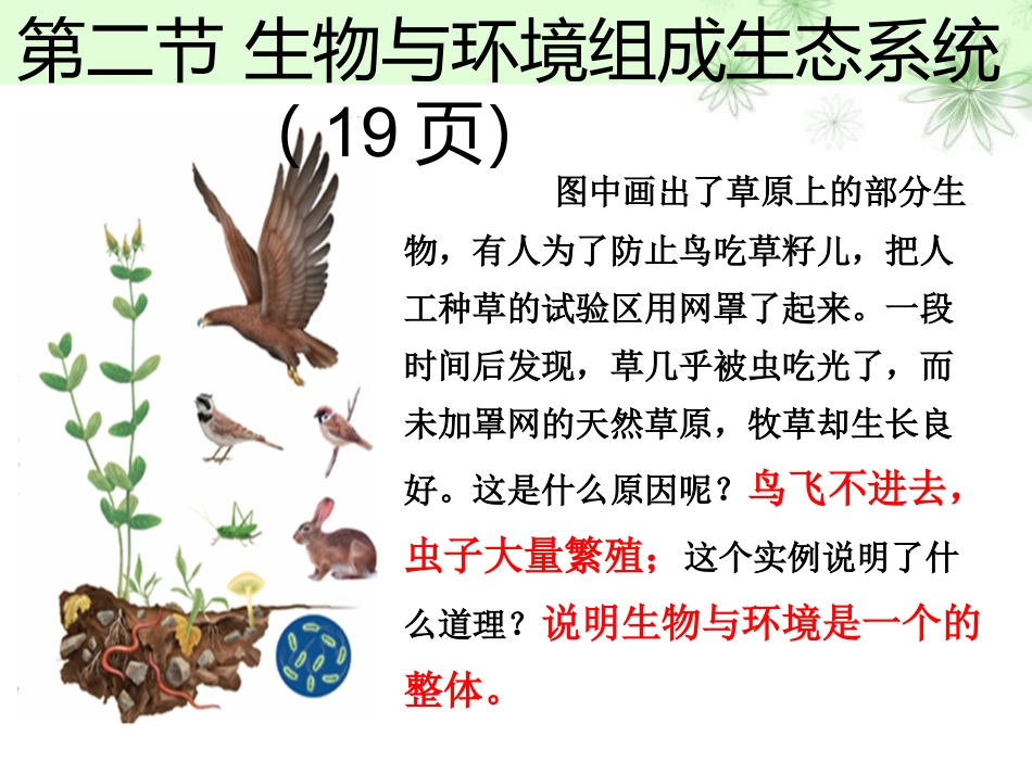 第二节-生物与环境组成生态系统_第1页