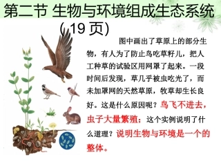 第二节-生物与环境组成生态系统