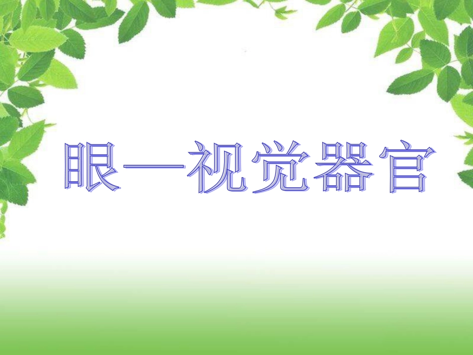 眼——视觉器官_第2页