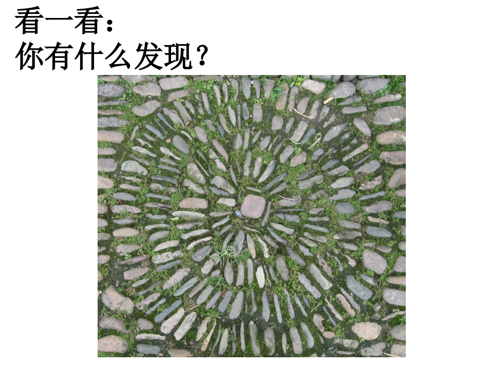 奇妙的同心圆_第3页