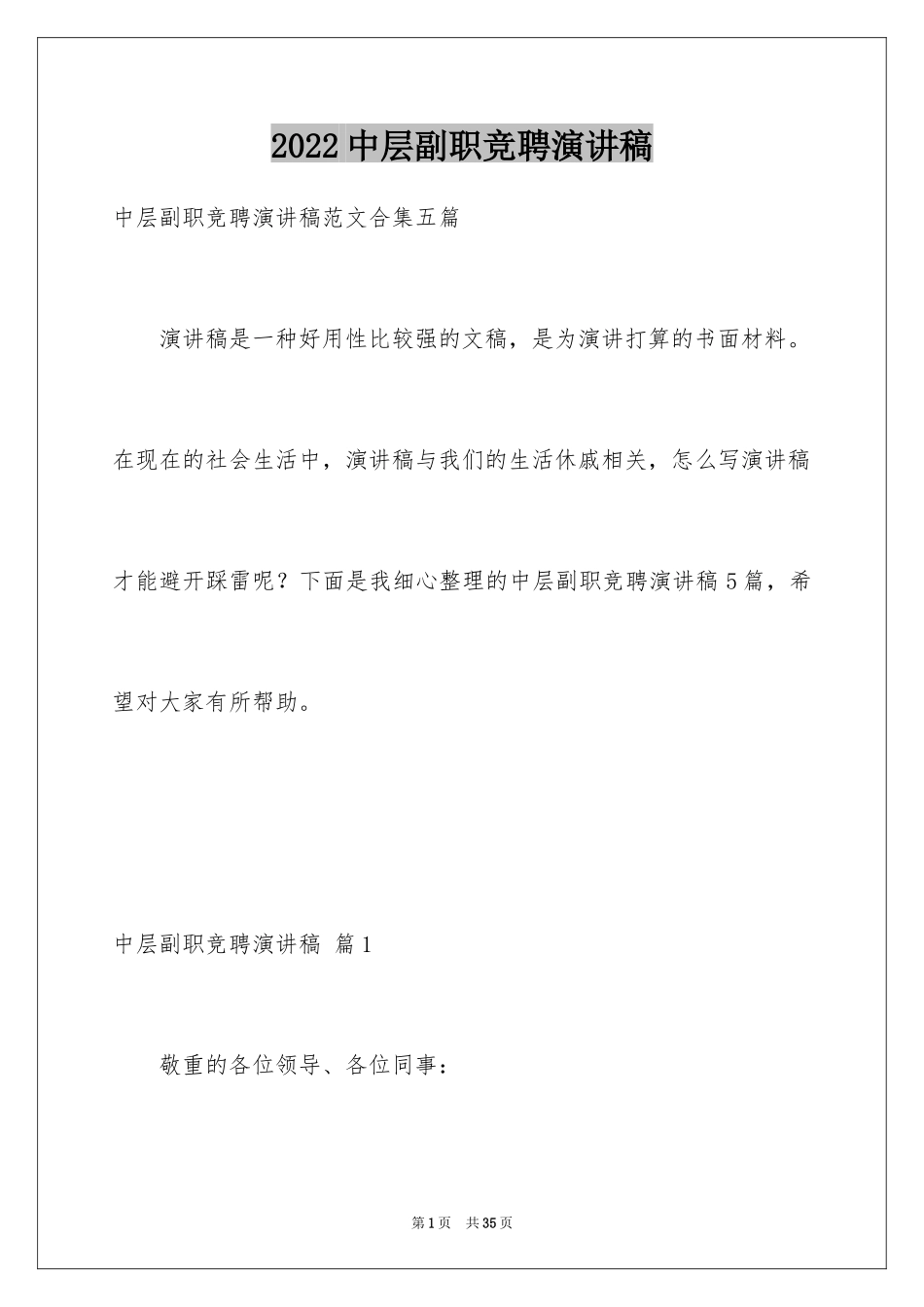 2024中层副职竞聘演讲稿_5_第1页