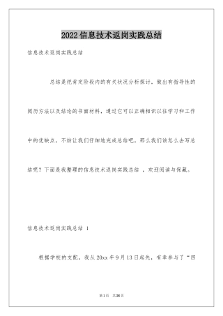 2024信息技术返岗实践总结 