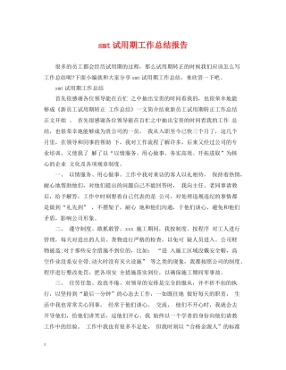 smt试用期工作总结报告