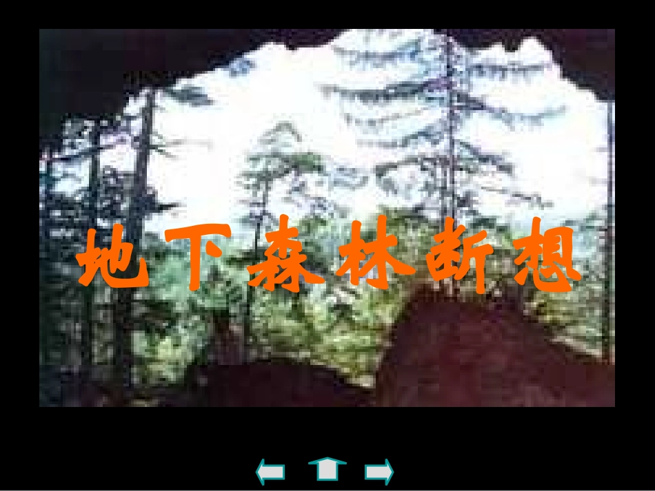 《地下森林断想》课件_第2页