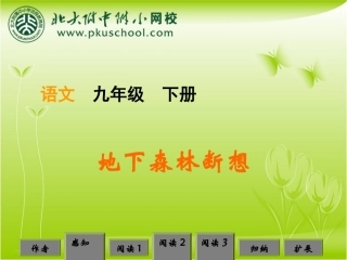 《地下森林断想》课件