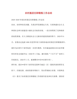 农村基层任职锻炼工作总结