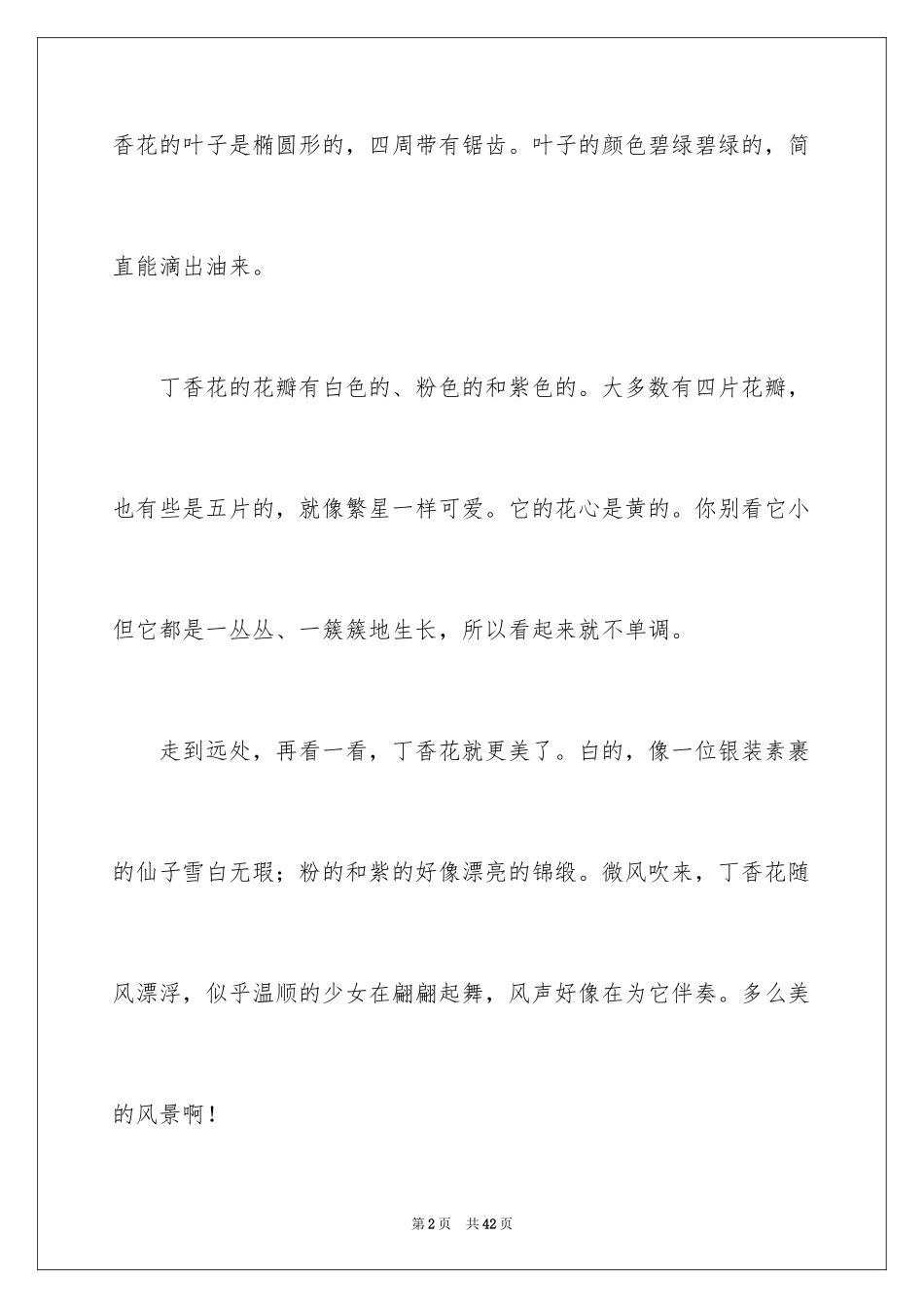 2024丁香花_第2页