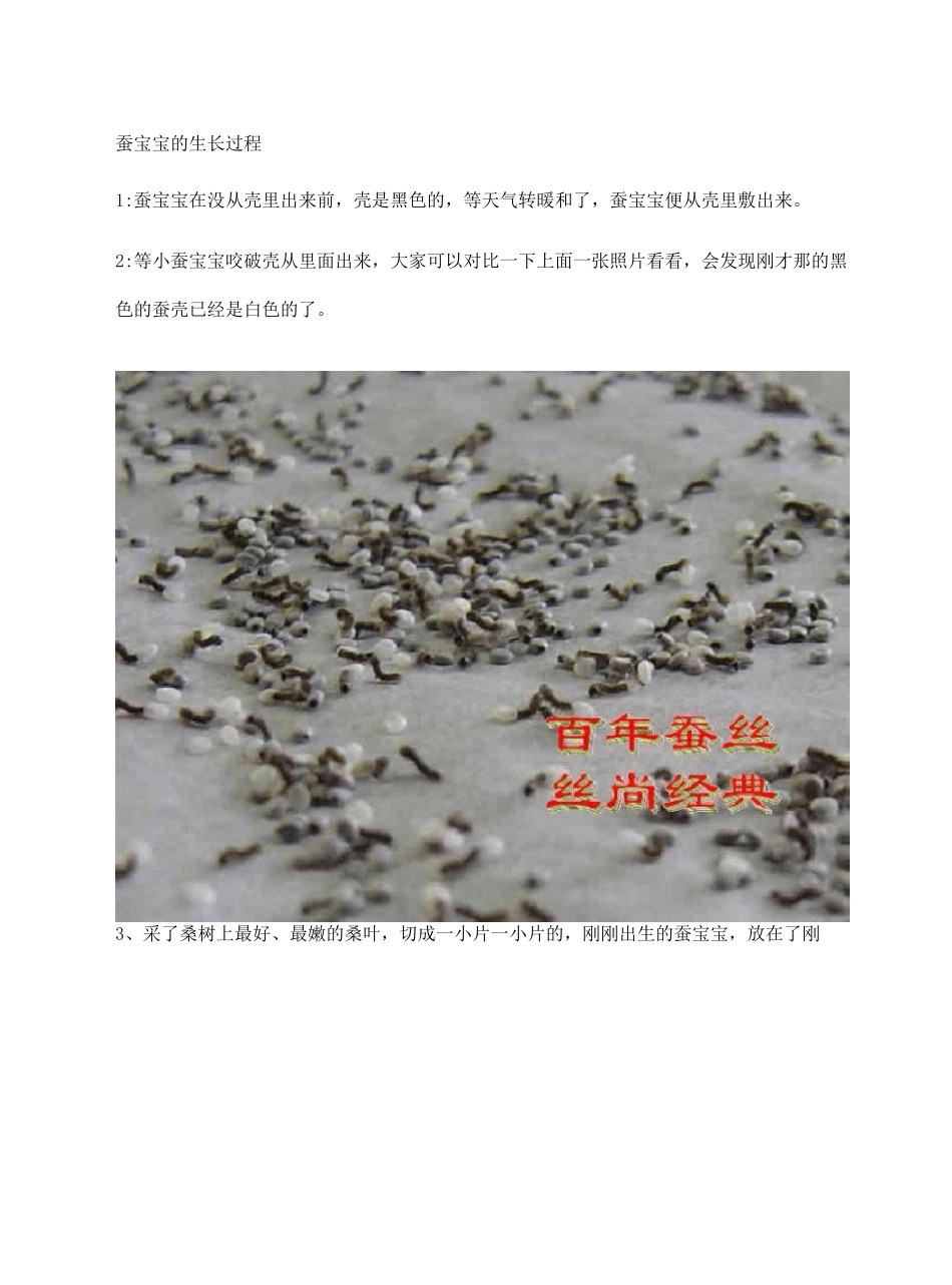 蚕宝宝的生长过程完整版_第2页