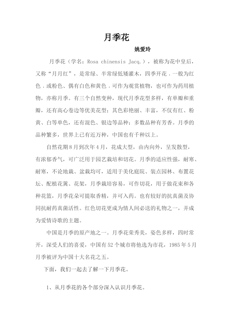 月季花的文化_第1页