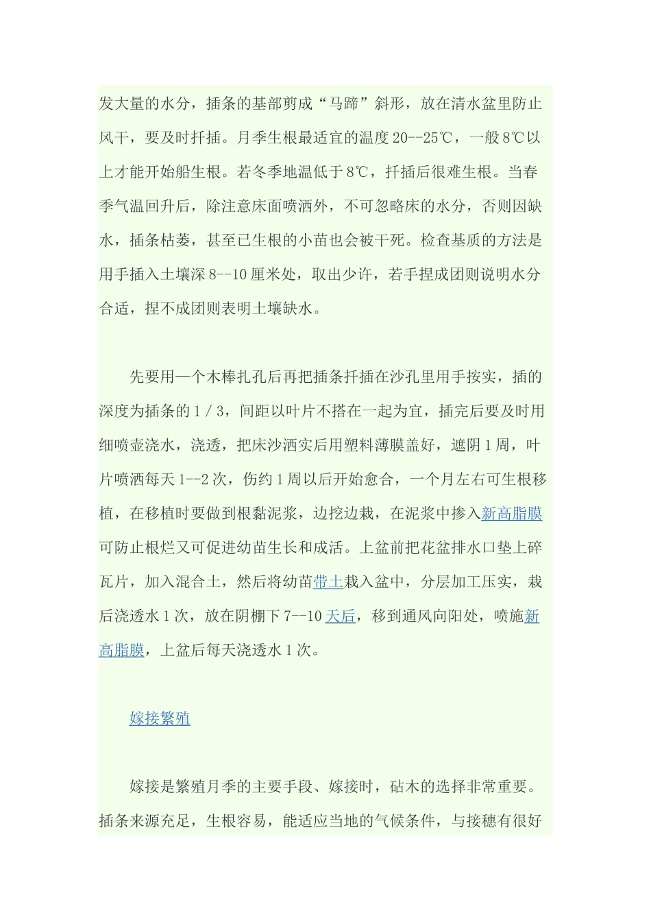 月季花的文化_第3页