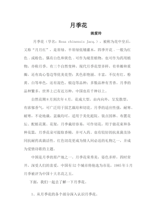 月季花的文化