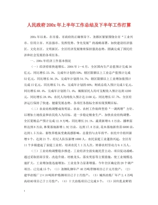 人民政府200年上半年工作总结及下半年工作打算