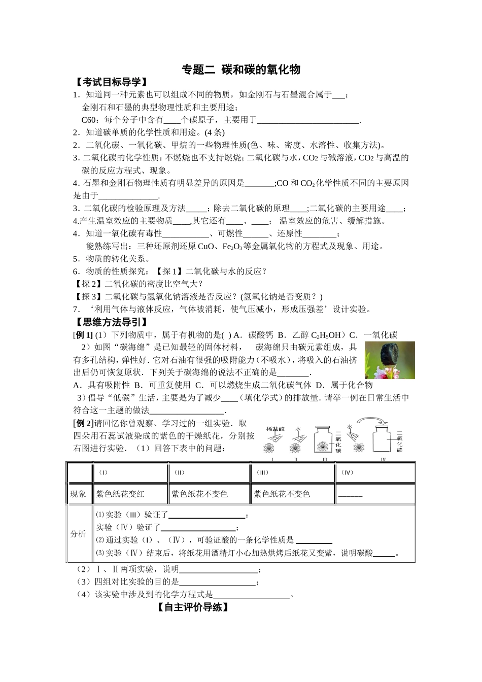 专题二碳和碳的氧化物_第1页