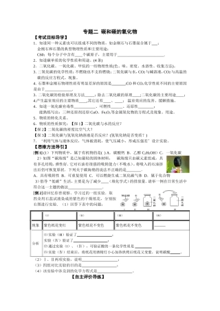 专题二碳和碳的氧化物