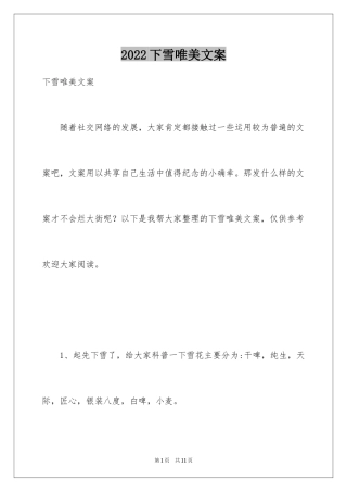 2024下雪唯美文案