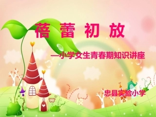 蓓蕾初放课件