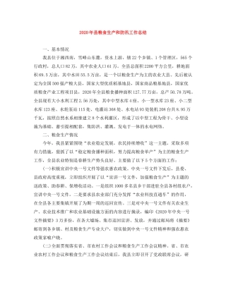 2020年县粮食生产和防汛工作总结