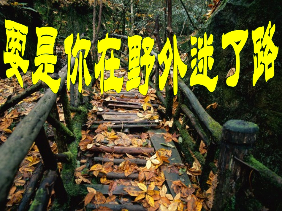 要是你在野外迷了路（上课）_第1页