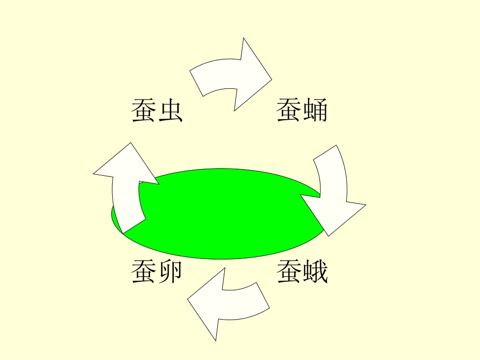 蚕宝宝变形记_第2页