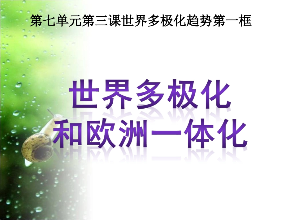 --《世界多极化和欧洲一体化》课件略修改_第3页