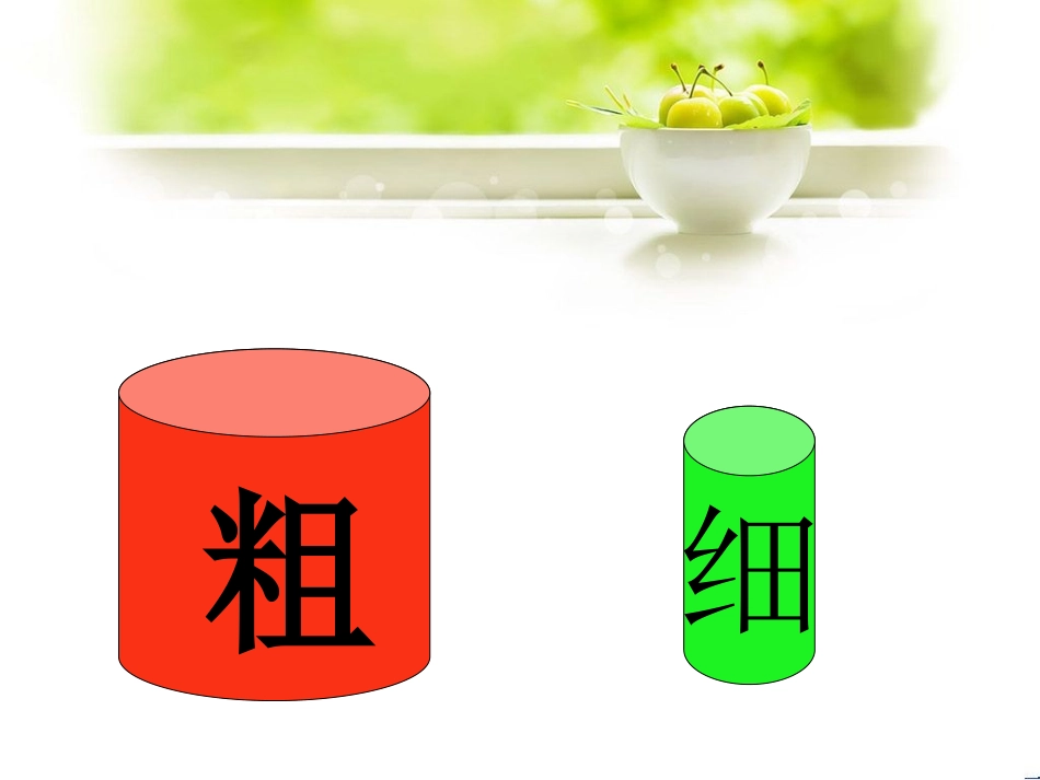 比较粗细课件_第2页