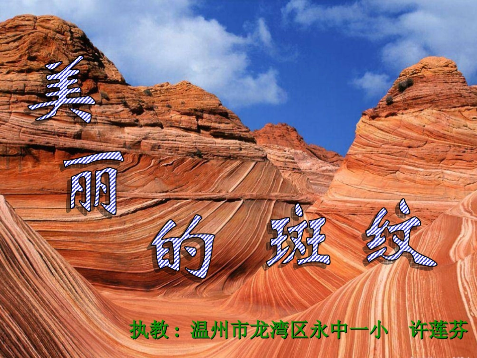 《美丽的斑纹》_第2页