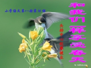 和我们一样享受春天