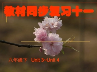 教材同步复习十一