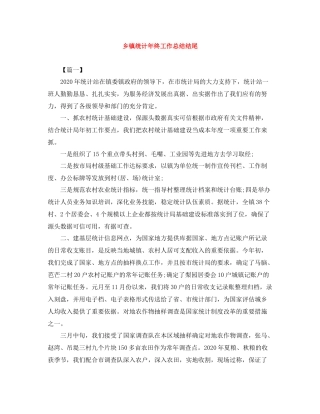 乡镇统计年终工作总结结尾