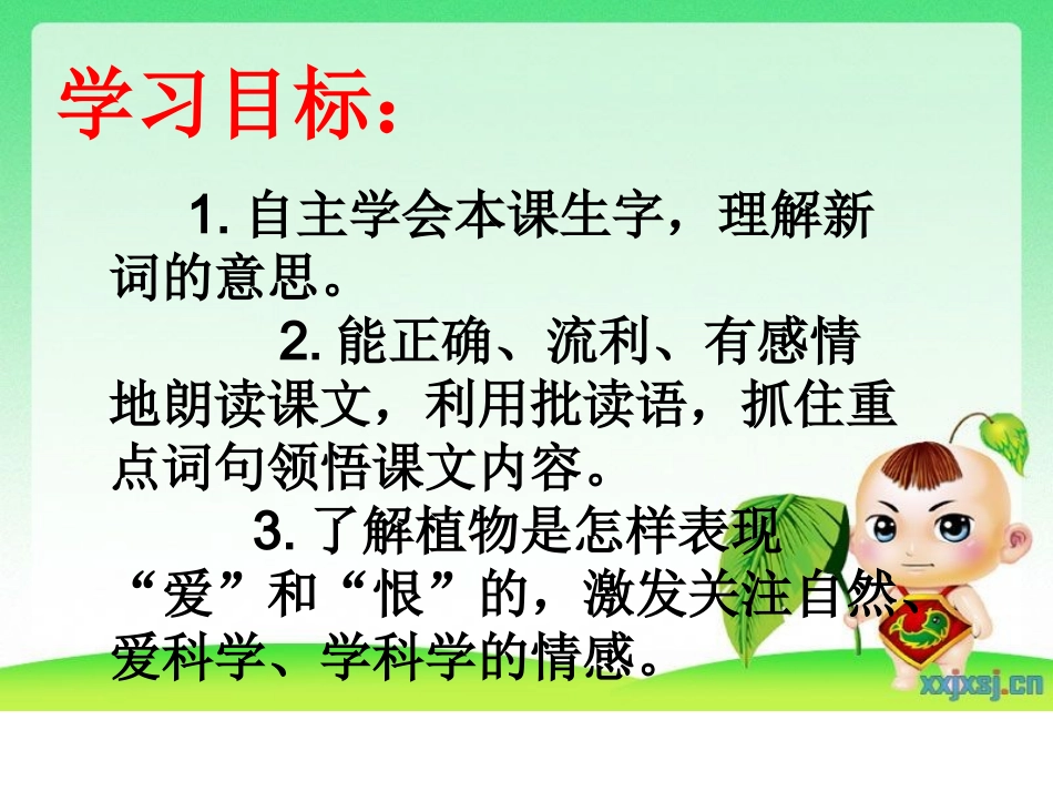 植物之间的爱和恨课件廖伦菊_第2页