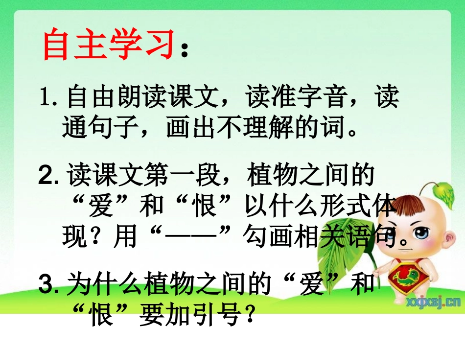 植物之间的爱和恨课件廖伦菊_第3页