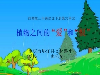 植物之间的爱和恨课件廖伦菊