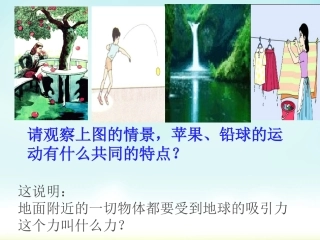 第三节重力课件